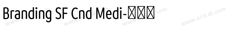 Branding SF Cnd Medi字体转换 Branding SF Cnd Medi字体转换